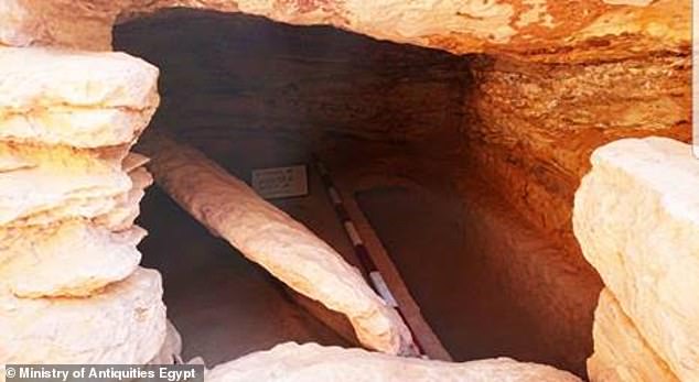 Mummified mother and child found in Egypt among dozens of preserved remains - T-News