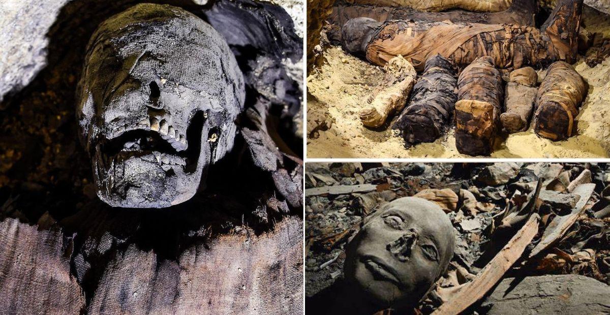 Archaeological Marvel: 50 Mummy Remains, Including Newborn Infants, Unearthed in Massive Tomb in Egypt’s Valley of the Kings!