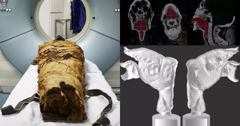 Echoes from the Ancients: Egyptian Mummy’s Voice Resurfaces After 3,000-Year Silence