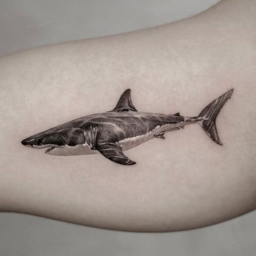 Explore 18 Stunning Shark Tattoo Designs for 2024: From Elegant Minimalism to Vibrant Watercolors