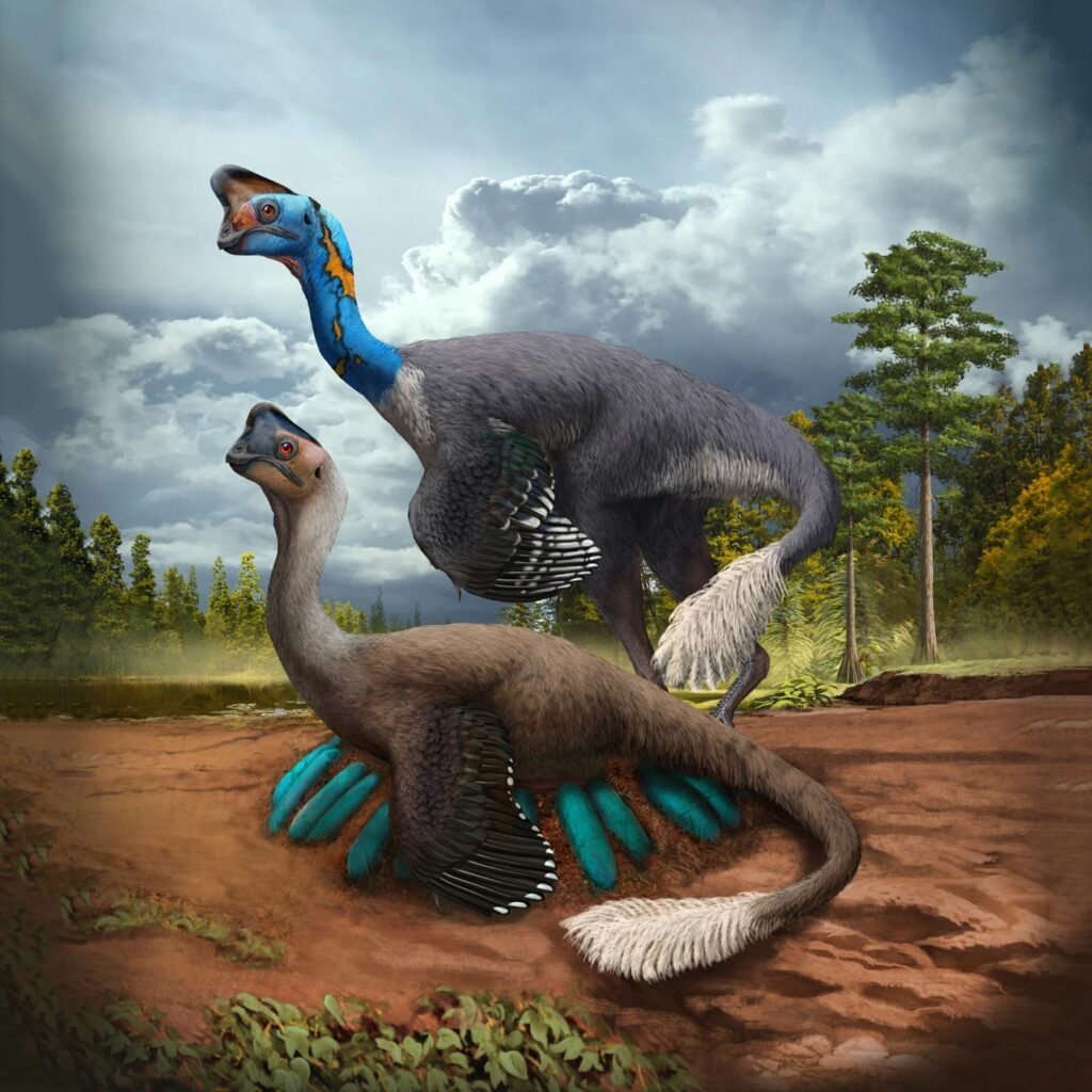 The world's first fossil discovery shows a dinosaur sitting on an egg nest like a bird - T-News