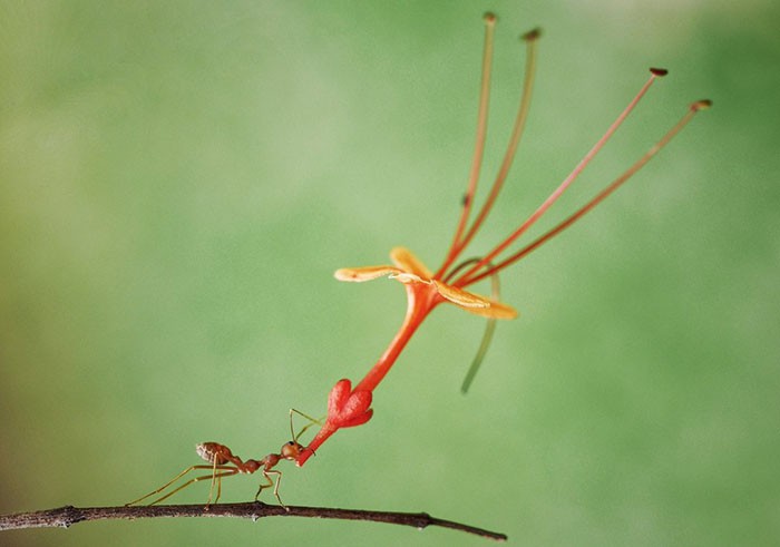 15 khoảnh khắc hài hước nhất năm của động vật hoang dã tại Comedy Wildlife Photography Awards 2018 - Ảnh 7.