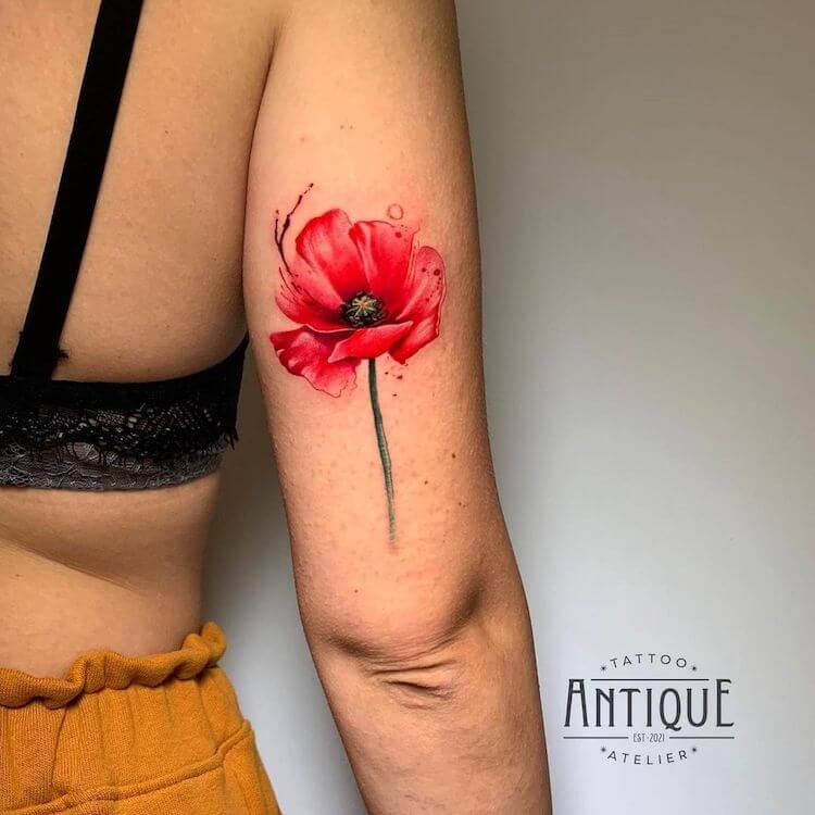 poppy flower on arm